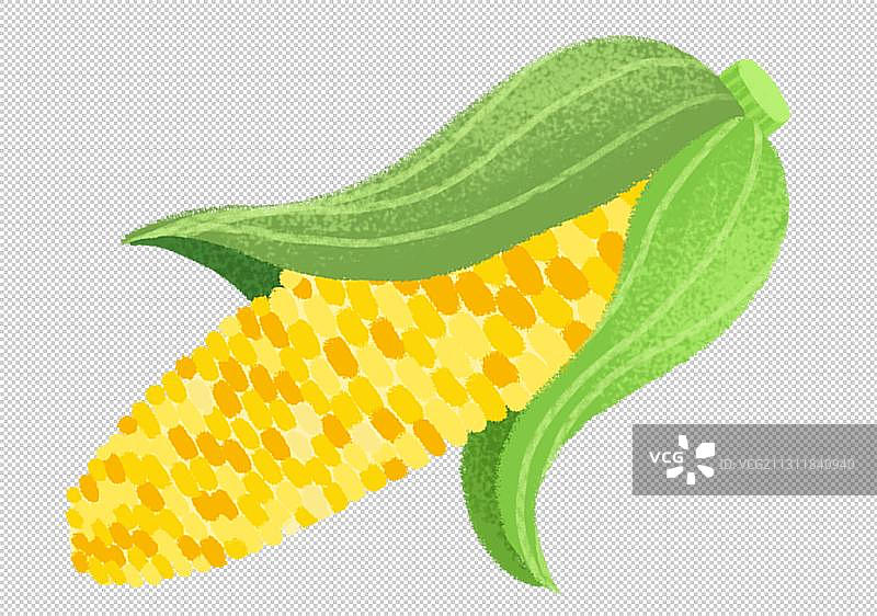 一个带叶玉米图片素材