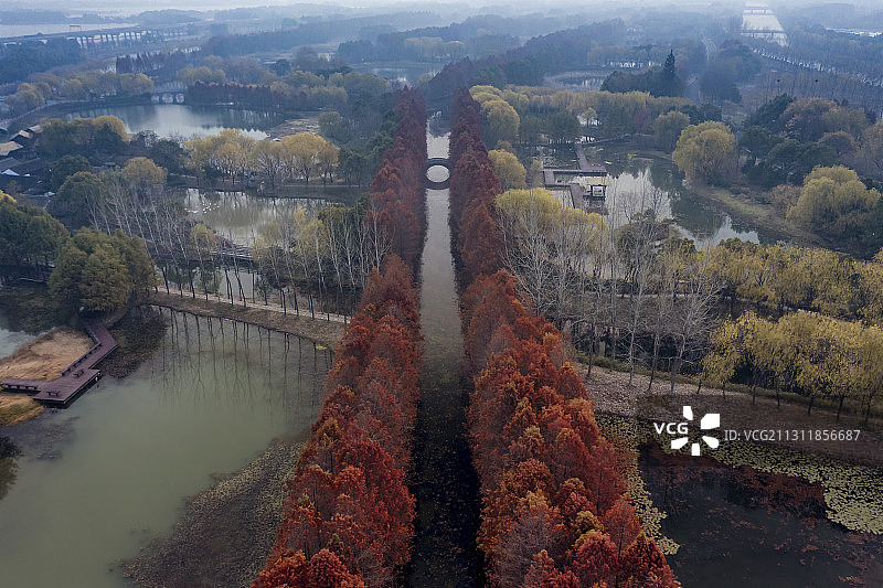 苏州虎丘湿地公园的清晨图片素材