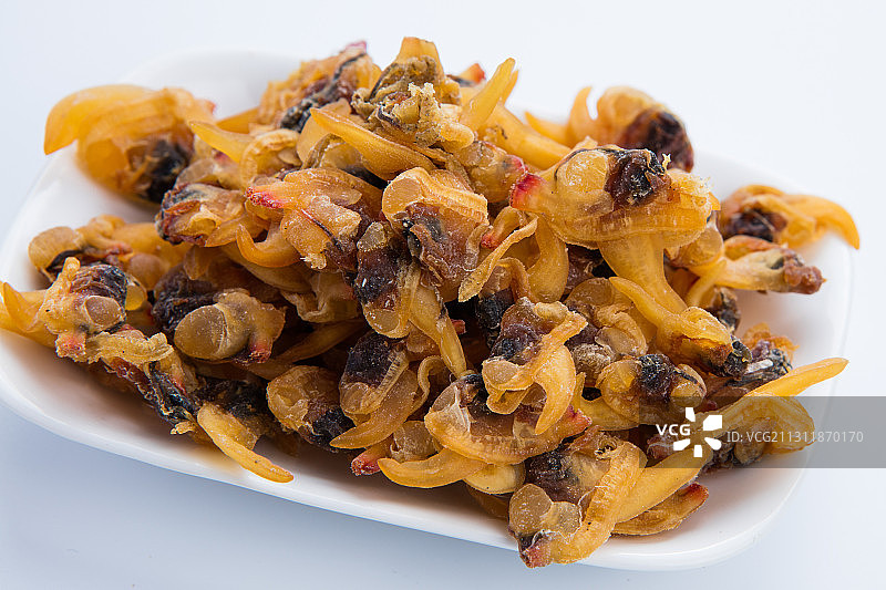 少量花蛤干图片素材