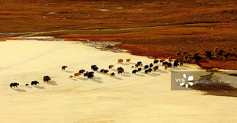 西藏唐古拉山地区风光图片素材