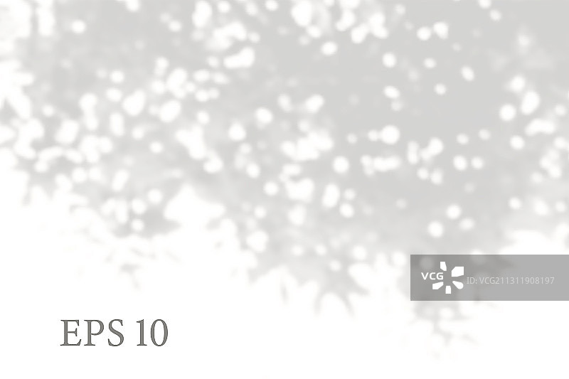 透明自然树枝阴影光图片素材