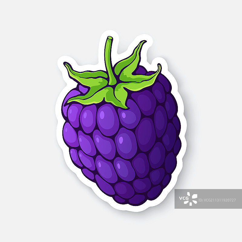 带茎黑莓：素食图片素材