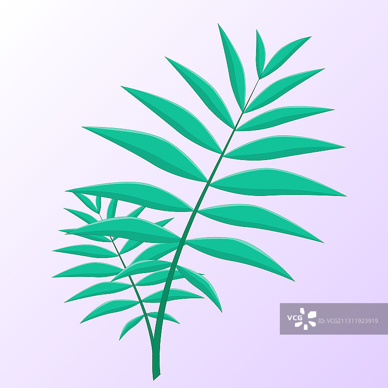 白色背景上的孤立叶子图片素材