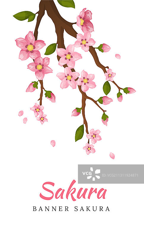 樱花贺卡banner或邀请卡图片素材