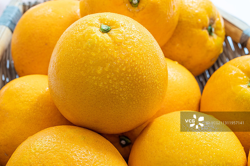 新鲜采摘的橙子图片素材
