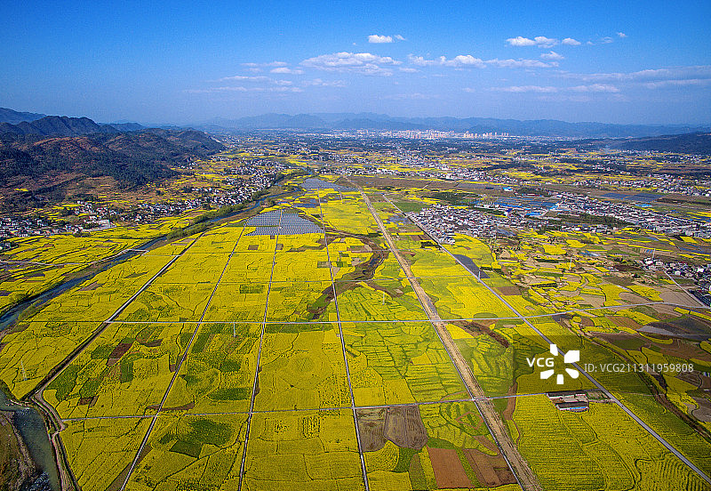 秀山万亩油菜基地图片素材
