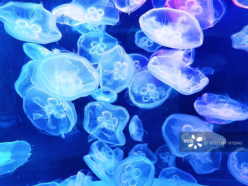 岁月静好图片素材