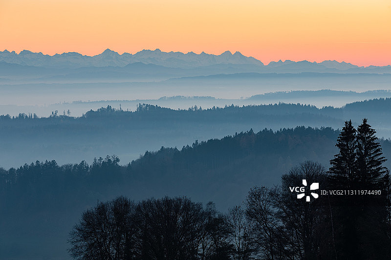 日落时分德国代根豪瑟塔尔的树木轮廓图片素材