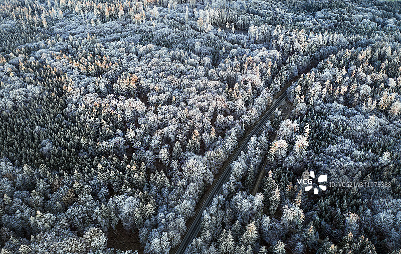 航拍冬季德国巴特格里斯巴赫伊姆罗塔尔森林中的松树图片素材