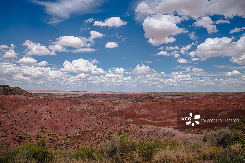 石化林国家公园的景观，美国亚利桑那州图片素材