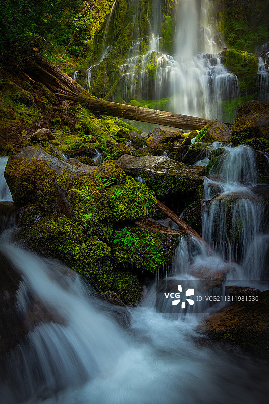 美国俄勒冈州普罗克西瀑布森林风景图片素材