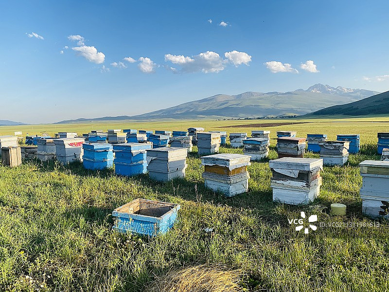 亚美尼亚田野风光图片素材