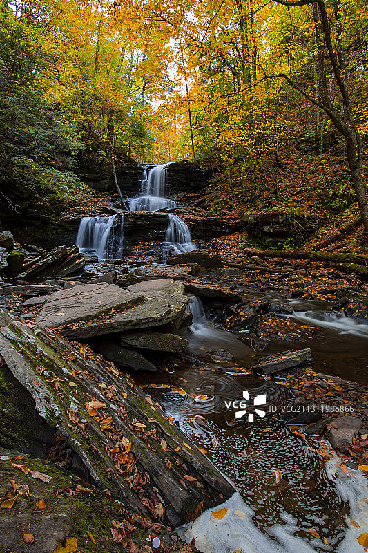 Ricketts Glen州立公园秋季森林瀑布的壮丽景色，美国图片素材