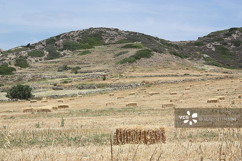 田野对天空的风景图片素材