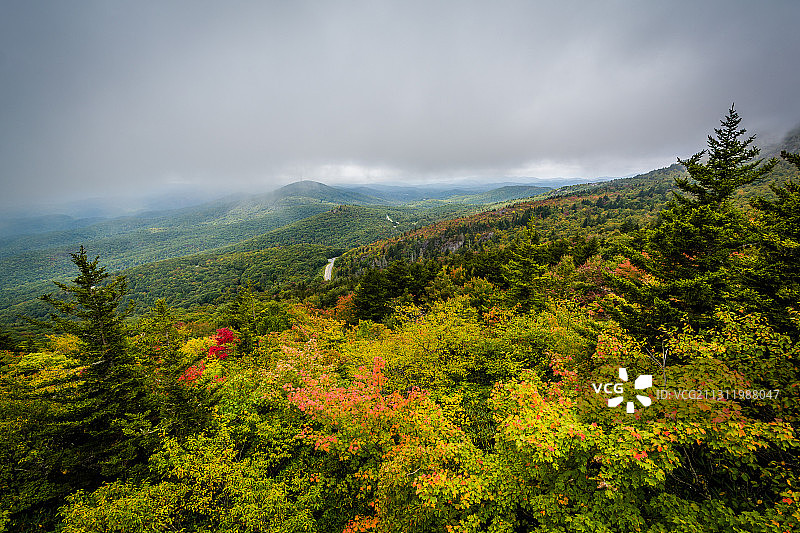 森林对天空的风景图片素材