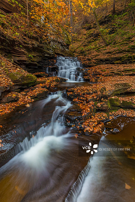 Ricketts Glen州立公园秋季森林瀑布的壮丽景色，美国图片素材