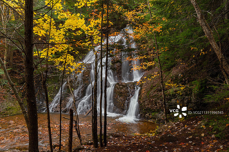 加拿大温特沃斯瀑布森林美景图片素材