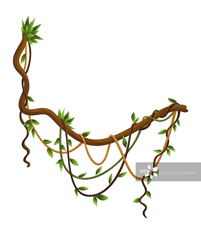 缠绕的野生藤蔓树枝banner丛林藤图片素材