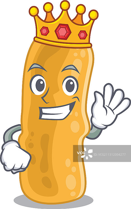 福氏志贺菌的智者国王吉祥物设计图片素材