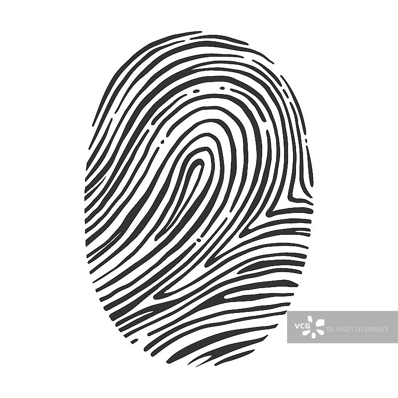 指纹草图图片素材