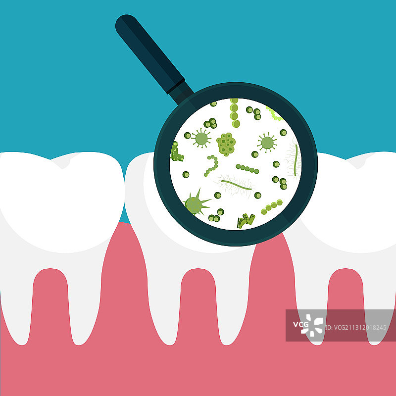 在人类白色牙齿上观察到的细菌图片素材