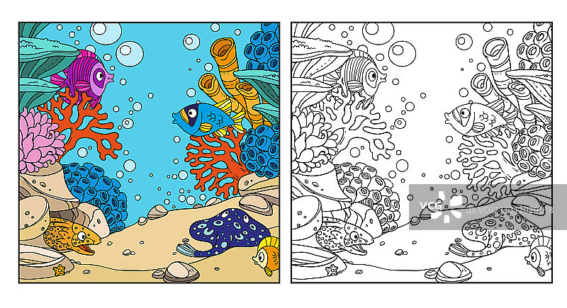 水下世界：珊瑚、海葵、海鳗图片素材