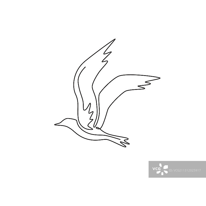 单线绘画美丽海鸥图片素材