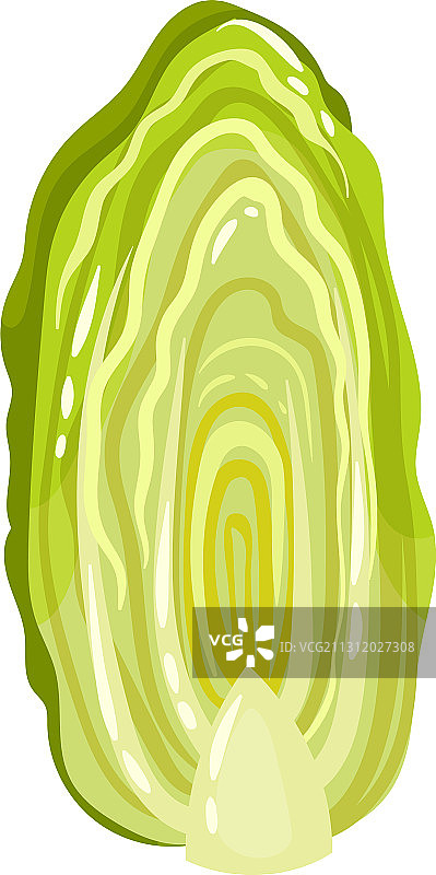 作为生沙拉的绿色大白菜或小白菜图片素材