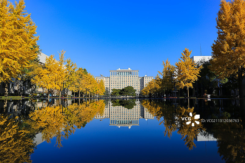 清华初秋图片素材