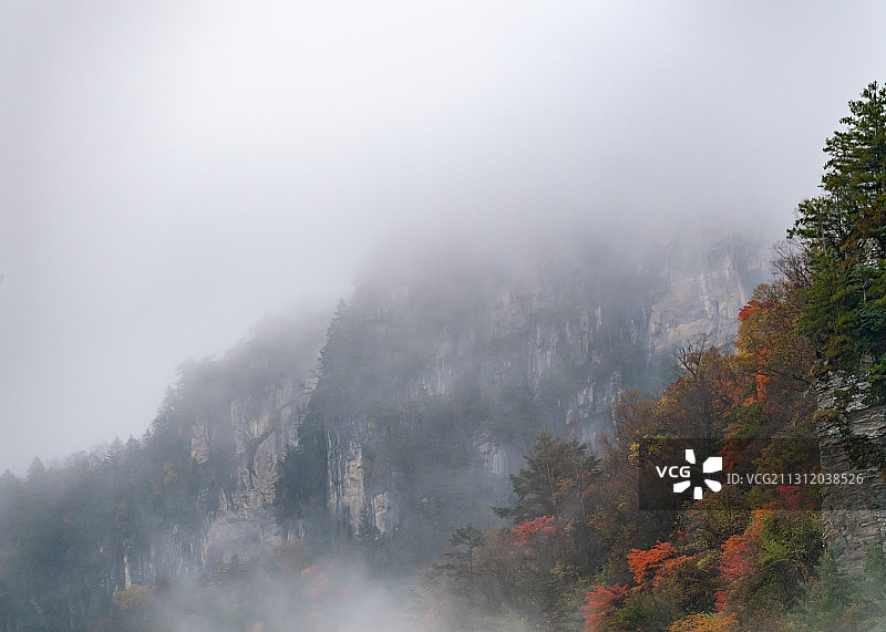 云雾山中图片素材