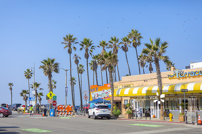 ,湛蓝天空下加州海边的棕榈树伫立在餐厅前方图片素材