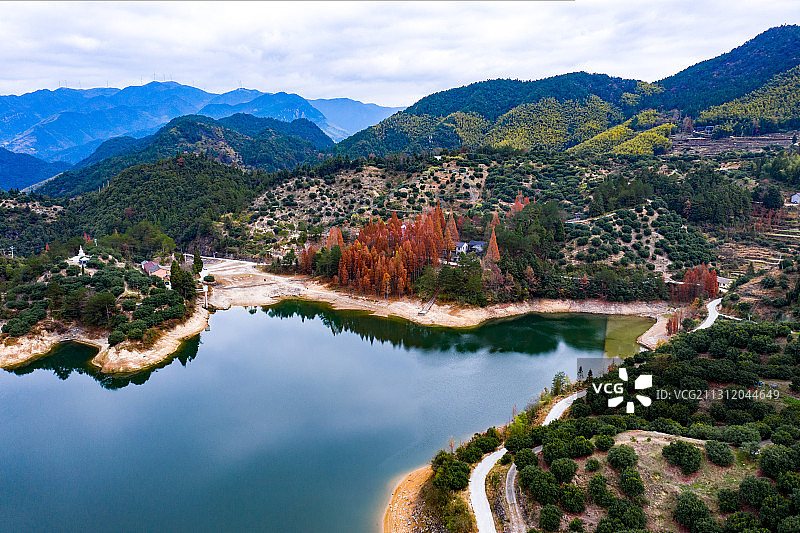 航拍中国浙江省台州市仙居县谷坦水库与水杉林图片素材