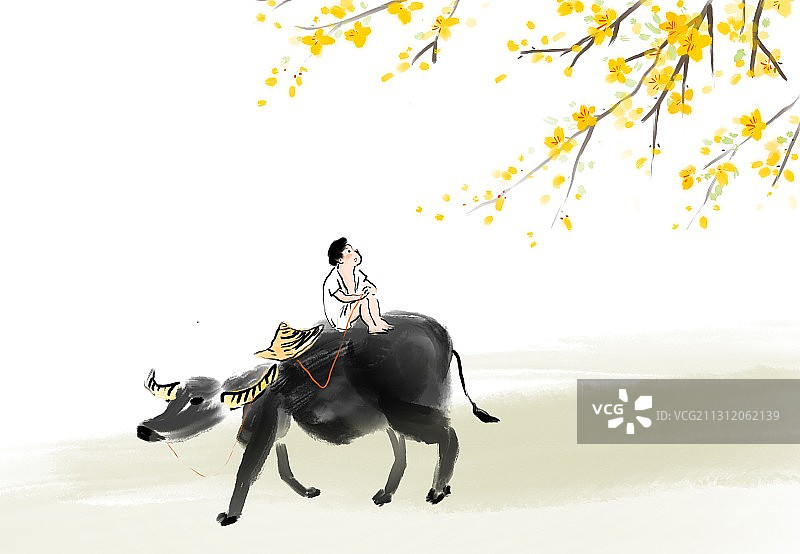 牛年立春节气插画迎春花图片素材