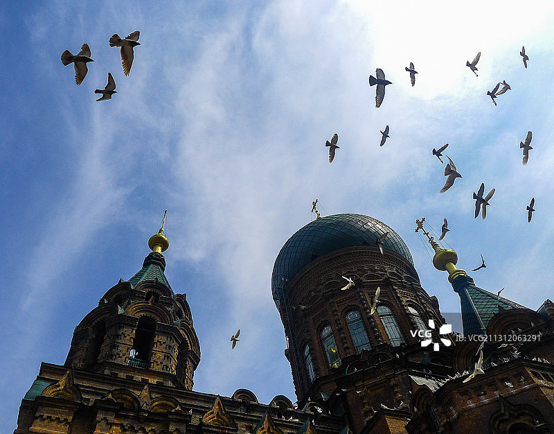 圣索菲亚教堂与鸽子图片素材