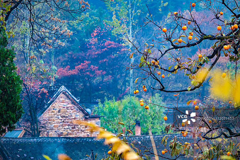 河南新乡—南寨镇—兵部寨村落图片素材