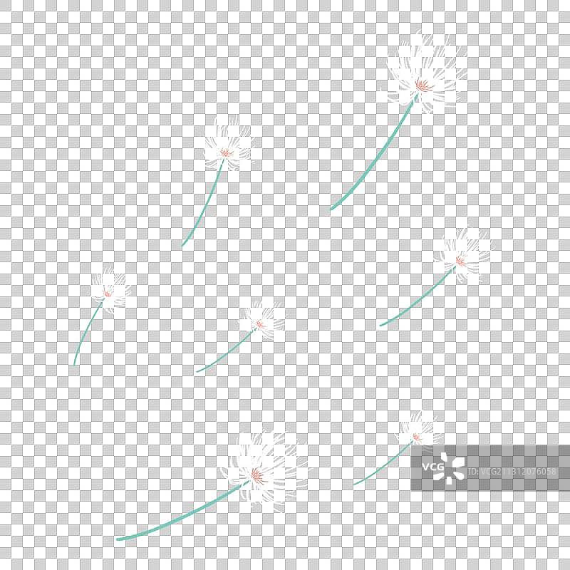 白色的蒲公英图片素材