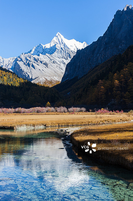 秋天稻城亚丁冲古草甸，夏诺多吉雪山图片素材