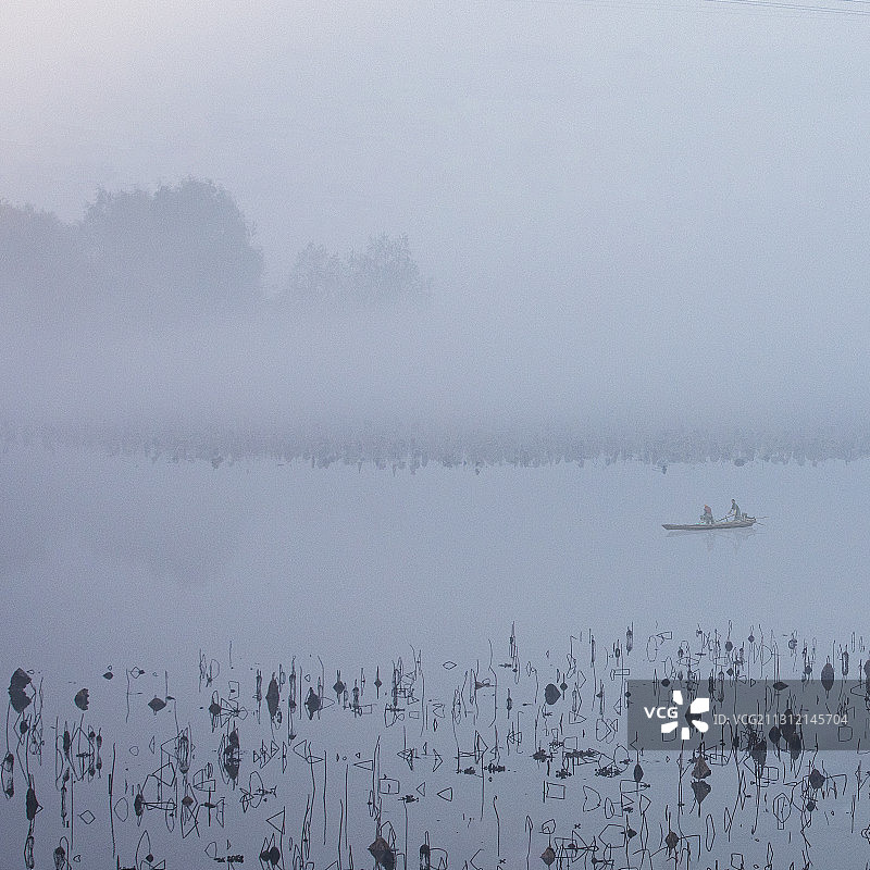 后官湖晨曲图片素材