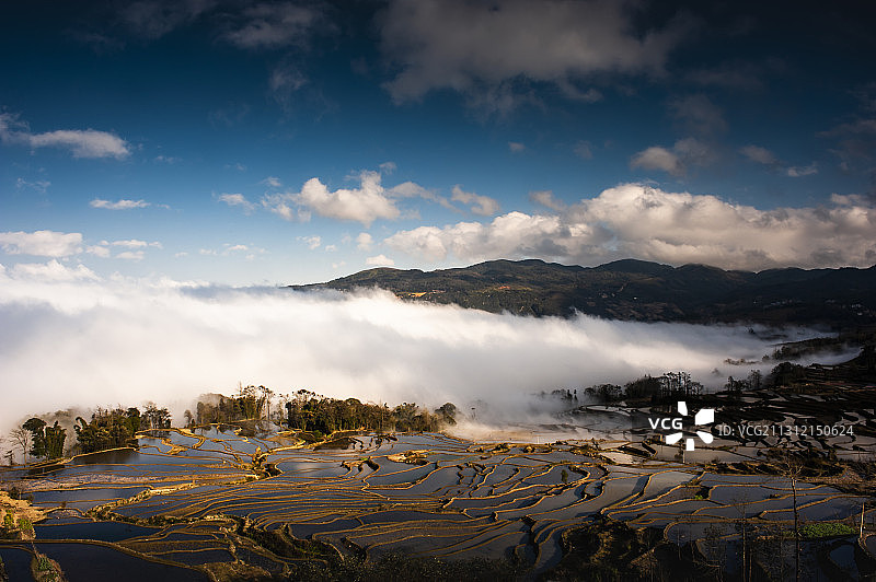云南红河元阳梯田图片素材