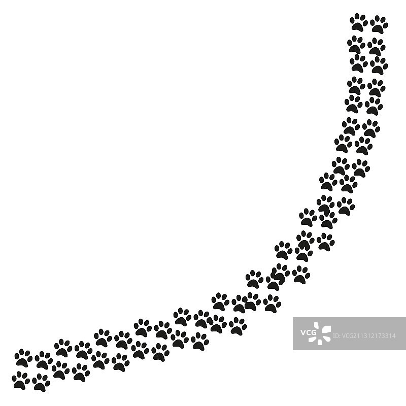 动物（猫或狗）爪印小路图片素材