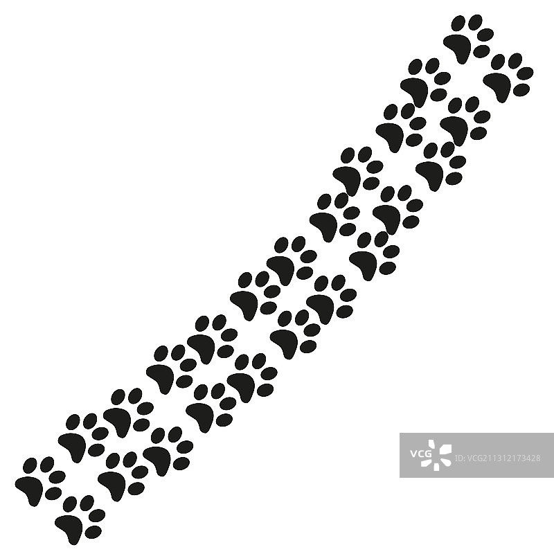 动物（猫或狗）爪印小路图片素材