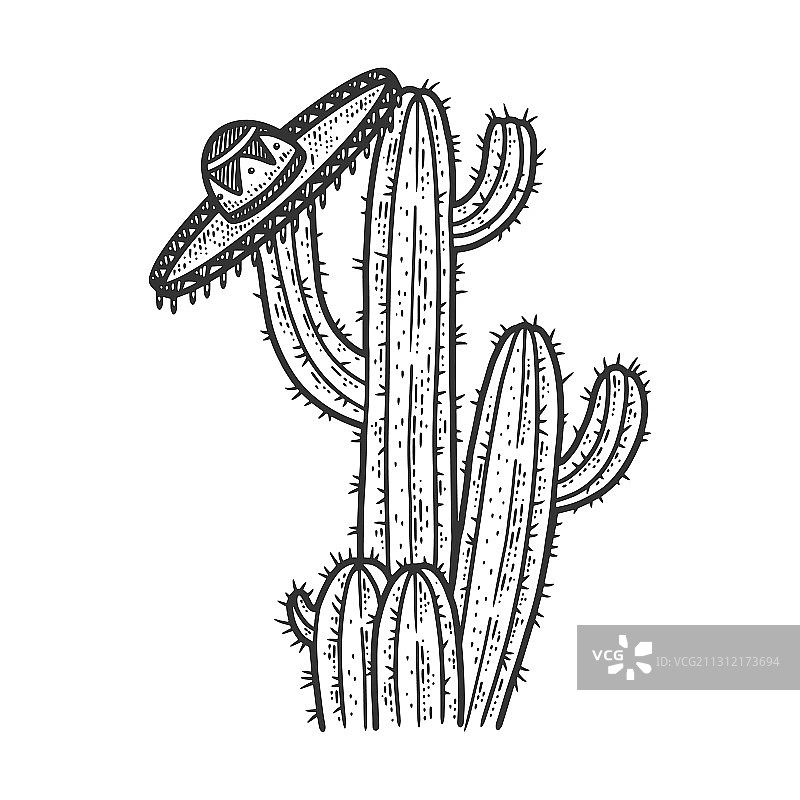 仙人掌上的草帽素描图片素材
