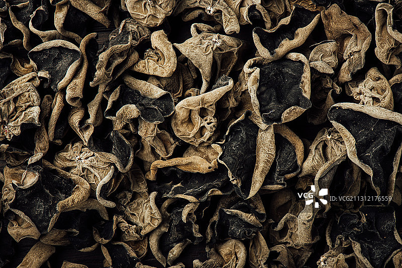 东北木耳图片素材