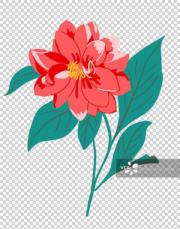 一朵大红花图片素材