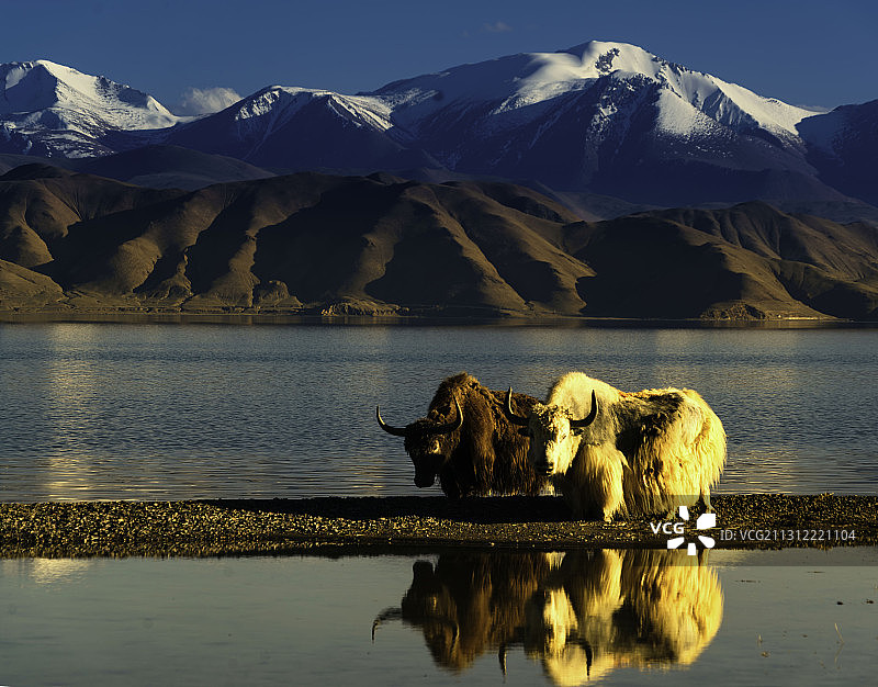 夕阳下的班公湖图片素材