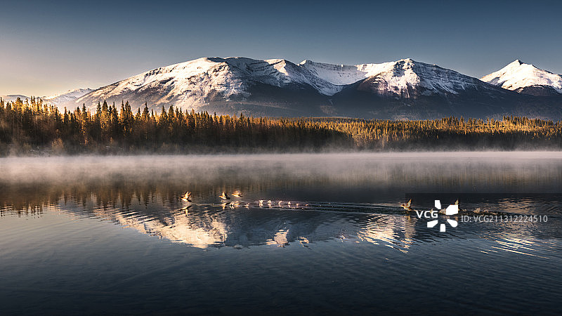 朝旭 —— 加拿大贾期珀公园掠影图片素材