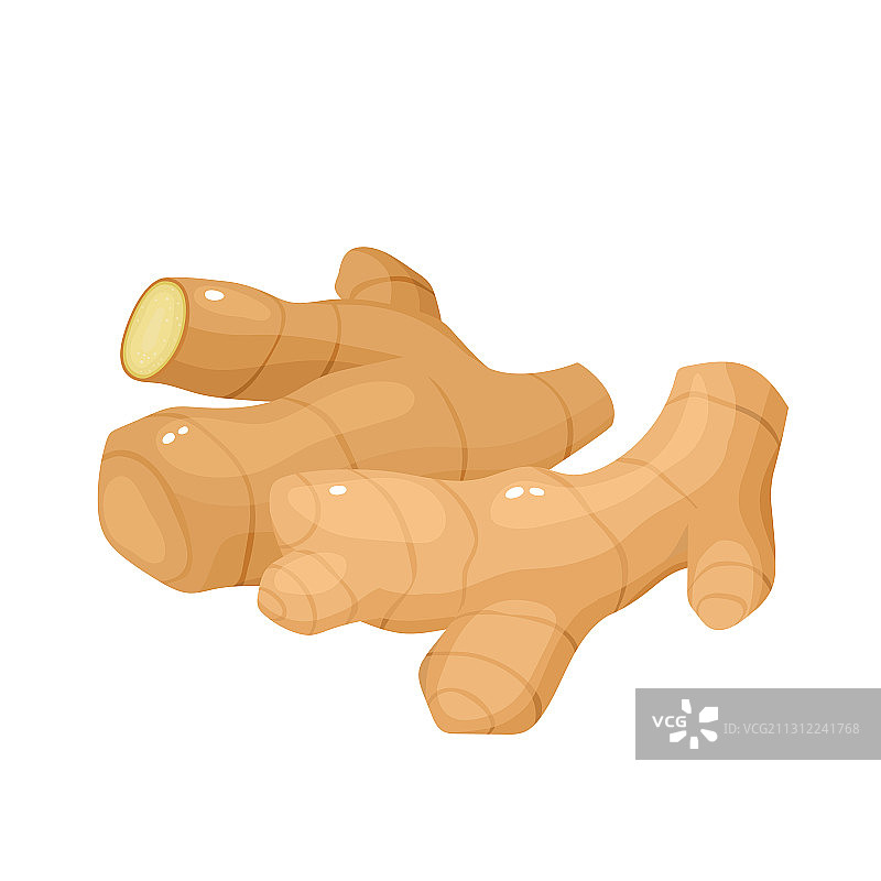 卡通有机香料生姜图片素材