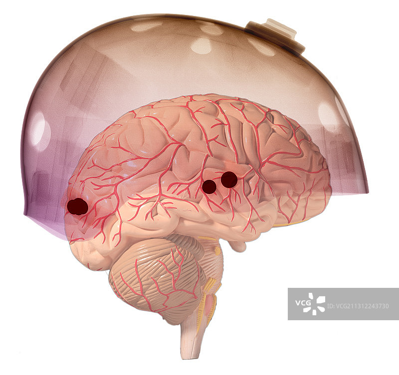 滑板头盔中的大脑图片素材