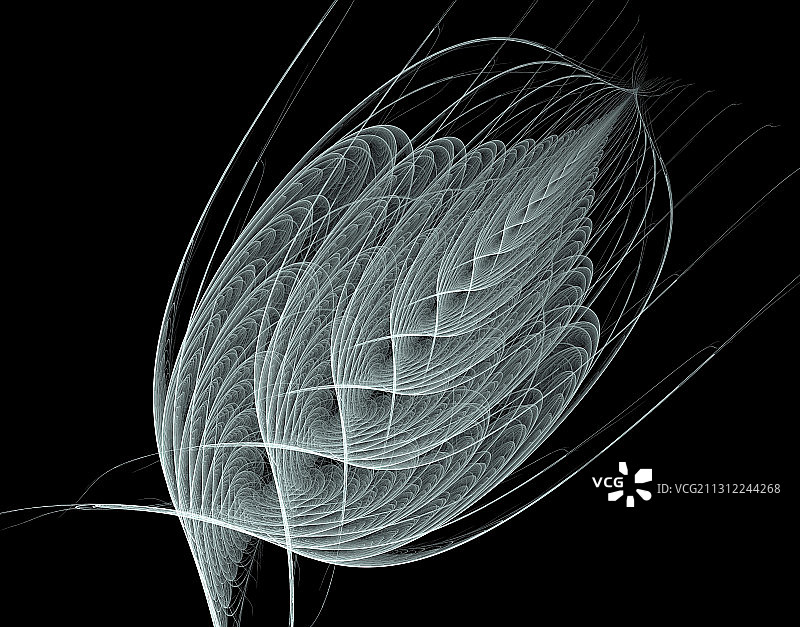 分形图像图片素材