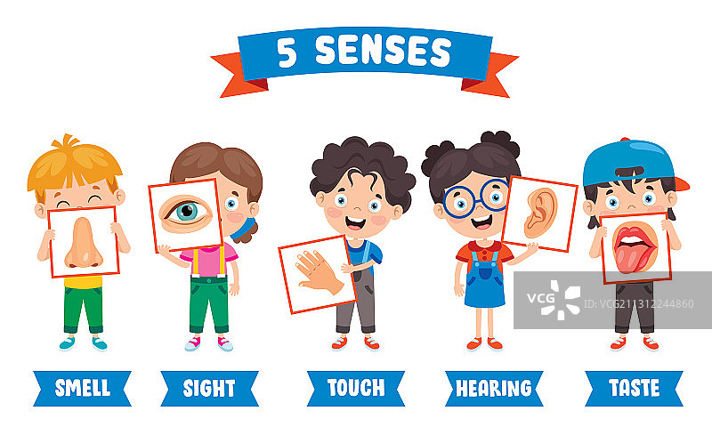 人体器官五感概念图片素材